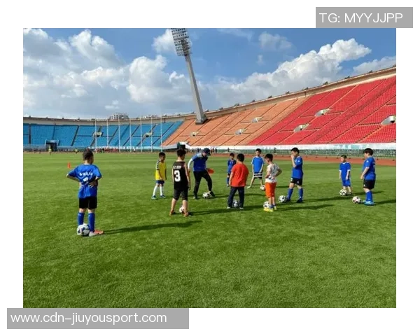 用纸板创造绿色足球梦想体验环保与创意的完美结合